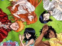 Bleach Screenshot