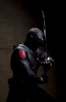 Ray Park plays Snake Eyes