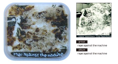 Rage Against The Machine - RATM