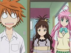 Anime Fanservice and Ecchi - To Love Ru