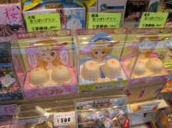 Japanese Sweet Breast Pudding