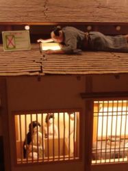 Japanese peeping man