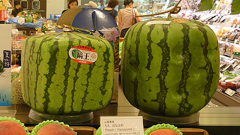 watermelon-japanese-cubic.jpg