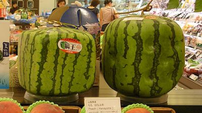 Cubic Japanese Watermelon