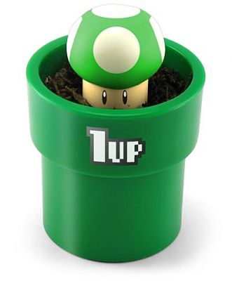 Grow your own 1up mushroom