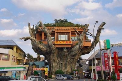Okinawa tree house restaurant