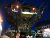Okinawa tree house restaurant