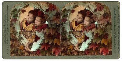 Stereoscopic Rural Japan