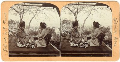 Stereoscopic Rural Japan