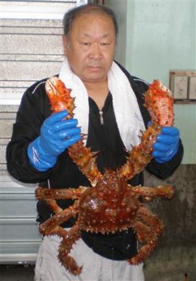 Huge crab caught in Hokkaido